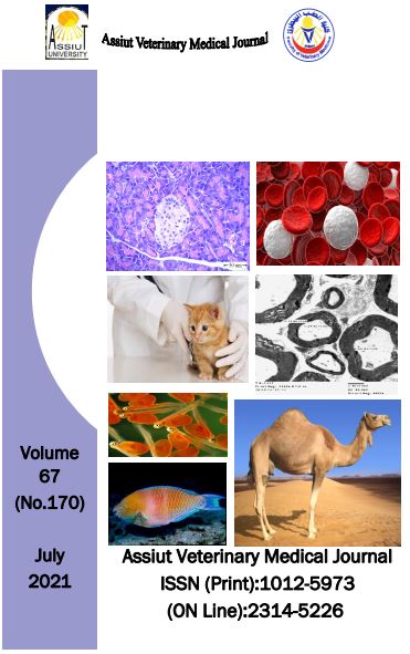 Assiut Veterinary Medical Journal